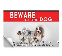Laminato adesivo Beware of the dog Irish Red and White Setter