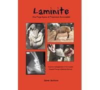 Laminite, Una Piaga Equina di Proporzioni Inconcepibili