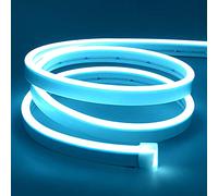 Lamomo Striscia LED blu ghiaccio, 12 V, 5 m, impermeabile, striscia LED al neon, per interni ed esterni, decorazione (adattatore di rete non incluso)