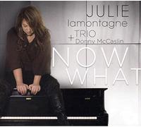 Lamontagne, Julie Trio & Donny Mccaslin - Now What