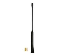 LAMPA 40217 Antenna autoradio