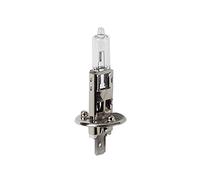 12V Lampada alogena H1 55W P14,5s 1 pz Scatola LAMPADA H1 12V 55W P14,5S