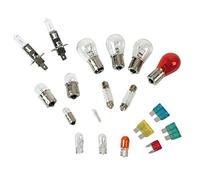 Kit lampade di ricambio 19 pz, alogena 2x H1 - 12V