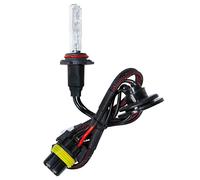 12/24V Lampadina HID Xenon 8.000K - H10 - 1 pz - Scatola