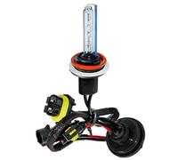 12/24V Lampadina HID Xenon 6.000K - H11 - 1 pz - Scatola