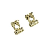 Coppia morsetti batteria standard