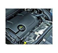 LAMPA 70160 Reticella carburante Carburatore