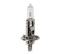 24V Lampada alogena - H1 - 70W - P14,5s - 1 pz - D/Blister