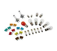 MAXI KIT LAMPADINE LAMPADE PER CAMION 24V BOX FUSIBILI H7 TRENTA PEZZI OFFICINA