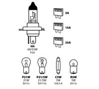 LEW9 Kit Lampade Di Ricambio 8 Pz Alogena H4 - 12V