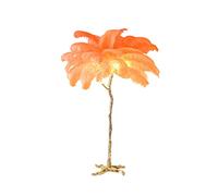 Lampada a forma di piuma, Lampade da terra in piuma arancione, lampada da tavolo, lampada da letto laterale, lampada da terra, lampada da lettura moderna, sorgente luminosa regolabile a tre colori, il