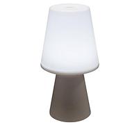 Lampada a LED bianca bule H21