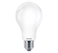 Philips Lampadina smerigliata a filamento 100 W A60 E27
