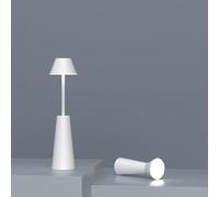 Lampada a luce ambientale ricaricabile USB con doppia modalità di luce per campeggio all'aperto appeso luce notturna scrivania lettura e torcia elettrica (bianco)