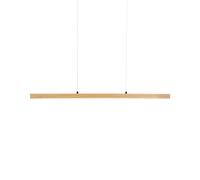 Lampada a sospensione a LED dal design minimalista con telecomando per la regola