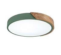 Lampada a Sospensione a LED Rotonda Moderna in Legno, Lampada da soffitto a Filo, Illuminazione per Soggiorno, Camera da Letto, corridoio, Verde + dimmerazione Continua - 30 cm 18