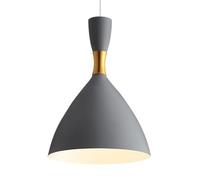 Lampada a Sospensione a Testa Singola con Sorgente Luminosa E14, lampadario in Ferro Stile Industriale Moderno, apparecchi di Illuminazione a soffitto, Pendente Decorativo per Bar da Pranzo