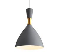 Lampada a Sospensione a Testa Singola con Sorgente Luminosa E14, lampadario in Ferro Stile Industriale Moderno, apparecchi di Illuminazione a soffitto, Pendente Decorativo per Cucina, Soggiorno