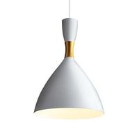 Lampada a Sospensione a Testa Singola con Sorgente Luminosa E14, lampadario in Ferro Stile Industriale Moderno, apparecchi di Illuminazione a soffitto, Pendente Decorativo per Cucina, Soggiorno