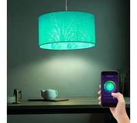 Lampada A Sospensione Con Controllo App Cambiamento Colore Dimmabile Timer LED