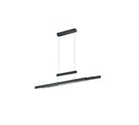 Lampada a Sospensione da Interno a LED in Metallo Nero Opaco