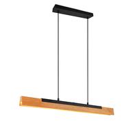 Lampada a Sospensione da Interno a LED in Metallo Nero Opaco