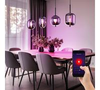 Lampada a Sospensione da Pavimento Smart App Regolatore Cct Guida Vocale RGB LED [EEK: F]