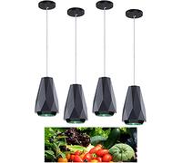 Lampada a Sospensione Fresca, Lampada a Base di Pesce, Lampada per Pane e Frutta, Lampada per Verdure, Ideale per Il Mercato del Pesce e la macelleria (Vegetable Lamp)