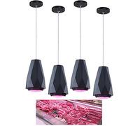 Lampada a Sospensione Fresca, Lampada a Base di Pesce, Lampada per Pane e Frutta, Lampada per Verdure, Ideale per Il Mercato del Pesce e la macelleria (Meat Lamp)