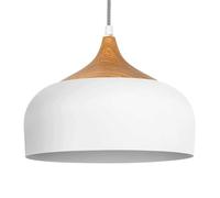 Lampada a Sospensione in Ferro dallo Stile Semplice, Paralume per Lampada a Sospensione Creativa e Personalizzata, Attacco E27 a Testa Singola, apparecchi di Illuminazione da soffi