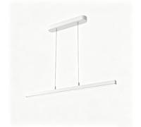 Lampada a sospensione in metallo per manicure | 3000-6000K, dimmerazione continua, lampada LED a sospensione per trattamenti ciglia (altezza: 0-200cm)(White,150cm)