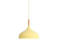 Lampada a Sospensione in Metallo Semplice, Creativa e di personalità, con Attacco E27 e Testa Singola, Lampada a soffitto Regolabile in Altezza per Cucina, Sala da Pranzo, Camera d