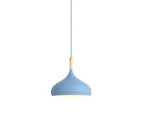 Lampada a Sospensione in Metallo Semplice, Creativa e di personalità, con Attacco E27 e Testa Singola, Lampada a soffitto Regolabile in Altezza per Cucina, Sala da Pranzo, Camera d