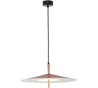 Lampada a Sospensione, Lampada a Sospensione - Droplight in Ferro Arte Moderna Semplice Personalizzata Studio da scrivania a LED, lampadario
