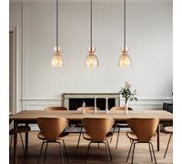Lampada a Sospensione Luce Sala da Pranzo Plafoniera Metallo Vetro Amber [EEK: Inaditato]