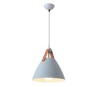 Lampada A Sospensione Piccola In Ferro Vintage Macaron Sala Da Pranzo Lampada A Sospensione Lampadario Paralume In Metallo Decorazione Plafoniere Lampada Da Pranzo Moderna Personalizzata(A Gray,27cm)