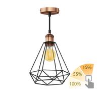 Lampada a sospensione vintage RETRA con paralume a gabbia in bronzo + lampada