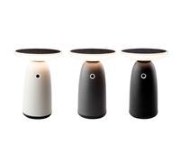 Lampada ad energia solare Lumineo 897850 22 cm Telecomando Touch
