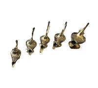Lampada Ad Olio Ottone Aladdin Akhand Jyot Diya Terrapin Trading Ltd 10 Inch