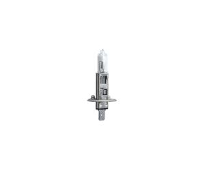 Lampada alogena BOSCH H1 Trucklight Maxlife 24V, 70W, 1 Pezzo