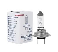 M-Tech Z7 Lampadina di Ricambio H7 12V