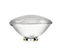LAMPADA ALOGENA SYLVANIA 12V 300W PAR56 WFL RICAMBIO FARO PER PISCINA LAMPADINA