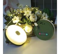 Lampada da campeggio LED ricaricabile USB, 10 m di ghirlanda luminosa, 5 modalità di illuminazione, timer 4/6/8 h, verde (circolare 10 metri)