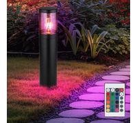 Lampada Da Giardino A Piantana Dimmerabile Con Telecomando Nera Fumè LED