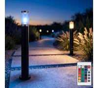 Lampada Da Giardino A Piantana Dimmerabile Con Telecomando RGB LED Set Di 2