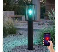 Lampada Da Giardino Smart LED Dimmer Con Cambio Colore H 60 Cm