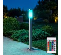 Lampada da Percorso Dissuasore Regolatore Telecomando Giardino LED RGB