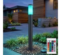 Lampada Da Giardino LED Esterno RGB Cambio Colore Con Telecomando [EEK: F]
