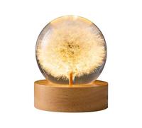 Lampada da notte con sfera di cristallo a forma di fiore, lampada a sfera in vetro da 6 cm con base in legno con luce a LED per campioni di fiori con ricarica USB (dente di leone)