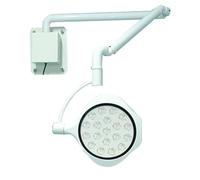 Lampada da Parete a LED per Visita Medica Chirurgica, LED Dentali Lampada, Chirurgica Lampada, 110~220 V, Luminosità Regolabile, per Chirurgia Dentale Otorinolaringoiatrica Veterinaria PET Tatuaggio
